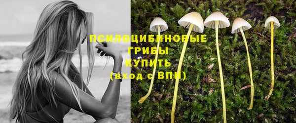 бутират Липки