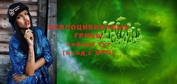 дурь Лиски