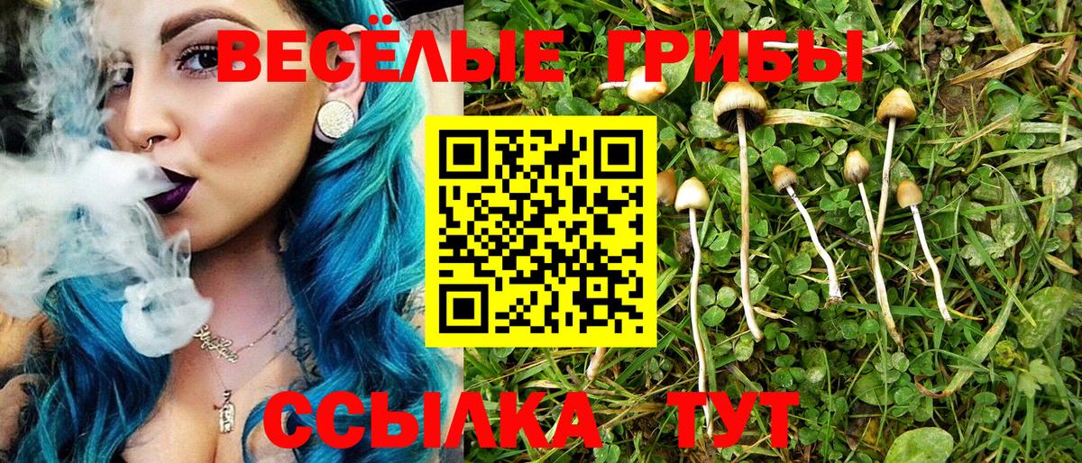 Галлюциногенные грибы мицелий  Галлюциногенные грибы Psilocybe  Полевской  Вход с VPN 